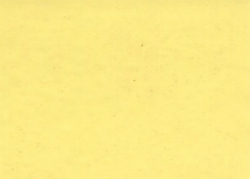 1984 Nissan Butter Yellow